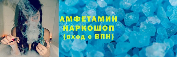 индика Аркадак