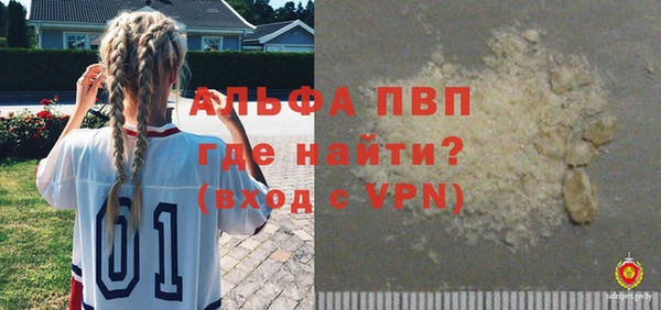 СК Зерноград