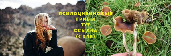 скорость Арсеньев