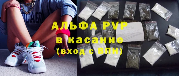 индика Аркадак