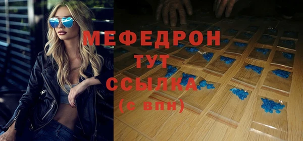 индика Аркадак