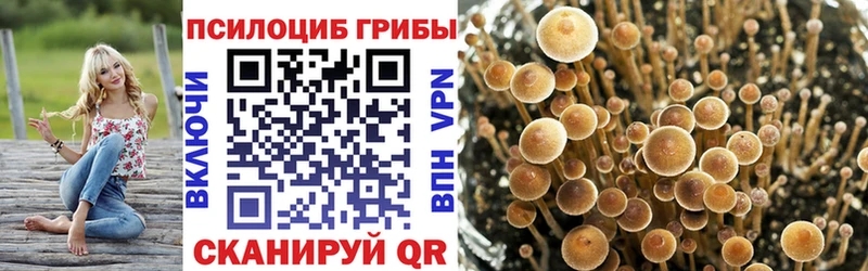 Псилоцибиновые грибы MAGIC MUSHROOMS  Похвистнево 